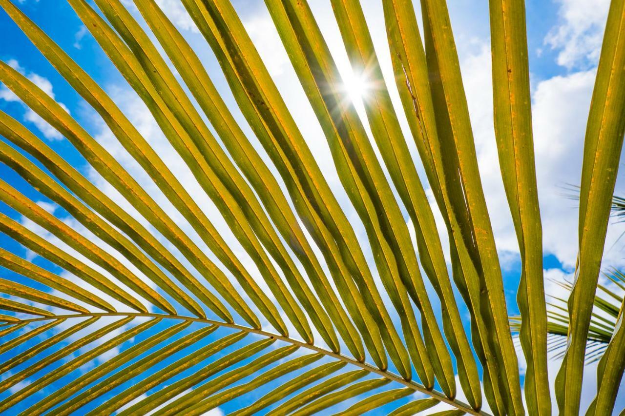 Beaches Bonaire Kralendijk  Luaran gambar